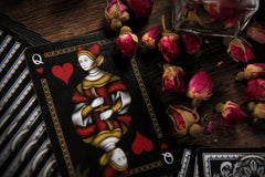 Ponderings Playing Cards - Apothecary Collection