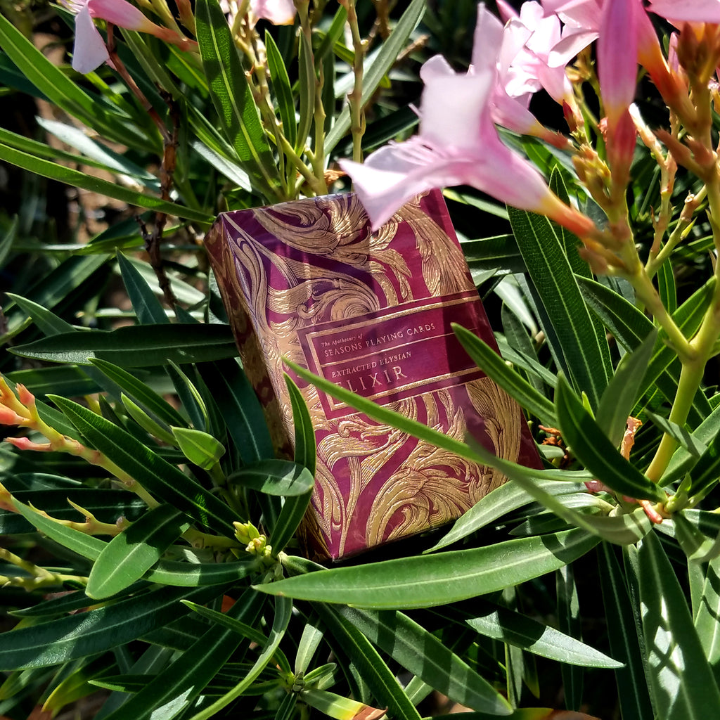 Mixed Mystery Set (Half Brick)